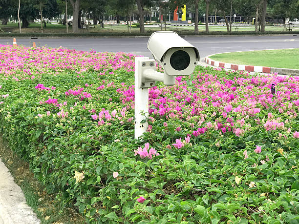 istock CCTV in bush flower 637122188