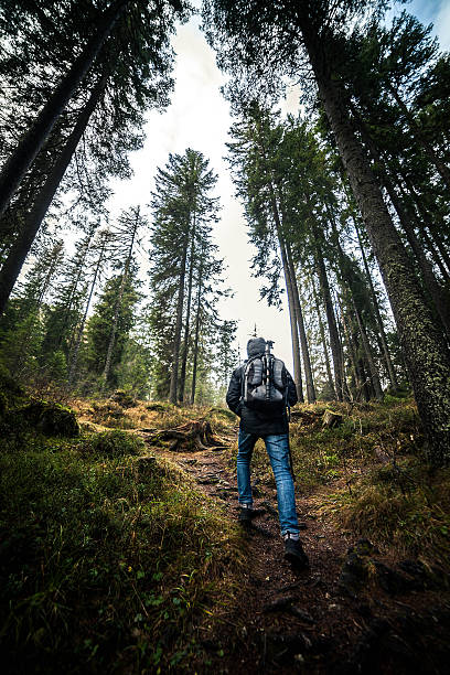 istock Explorer young man in the wood 637122472