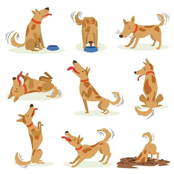 Vector illustration of Brown Dog Set Of Normal Everyday Activities