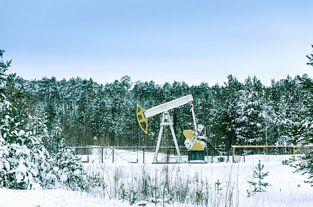 istock Pump jack and wellhead in the oilfield 637128166