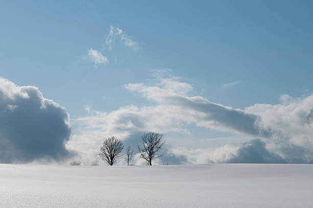 istock Snowy field and bule sky 637129422