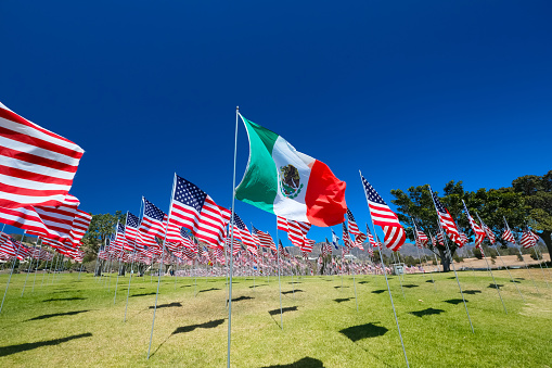 Flag of Mexico flying in a field of American Flags.