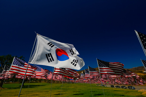 Flag of South Korea flying in a field of American Flags.