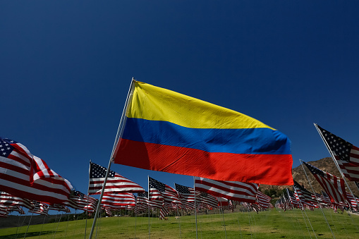 Flag of Columbia flying in a field of American Flags.