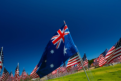 Australian Flag flying in a field of American Flags.