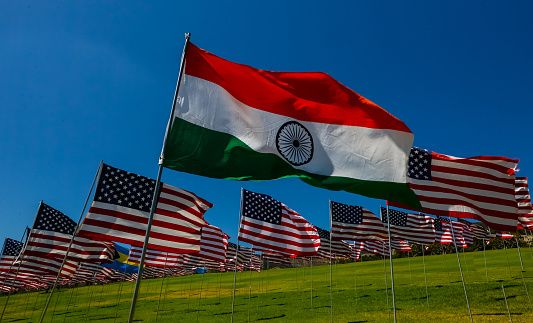 Flag of India flying in a field of American Flags.
