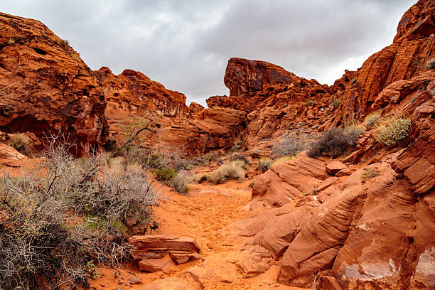 parque estatal del valle de fuego - moapa valley fotografías e imágenes de stock