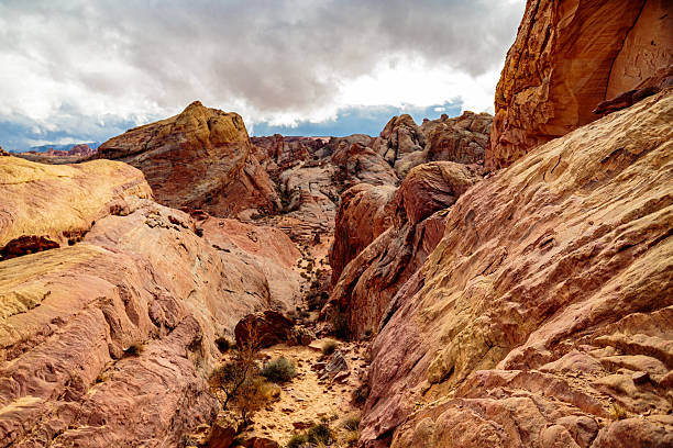 parque estatal del valle de fuego - moapa valley fotografías e imágenes de stock