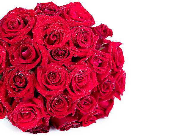 istock Bouquet red roses flower on isolated background 1 637145150