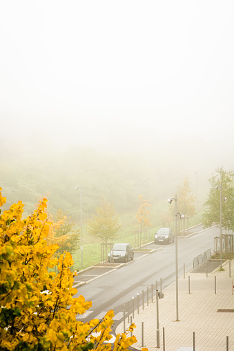 The fog partially covers an urban park