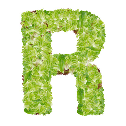 Herbal R Letter Letter R Alphabet With Hydroponics Leaf Abc Concept Type Stock Photo ...