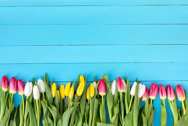 istock bouquet of flowers on a blue background 637149558