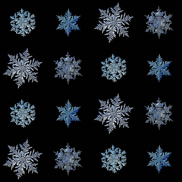 Snowflakes isolated on black background. This is macro photos of real snow crystals: large stellar dendrites with complex structure and ornate arms, arranged in square grid.