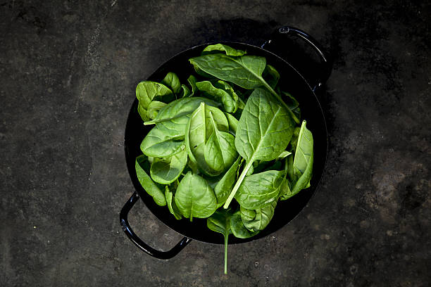 Baby spinach leaves on black background