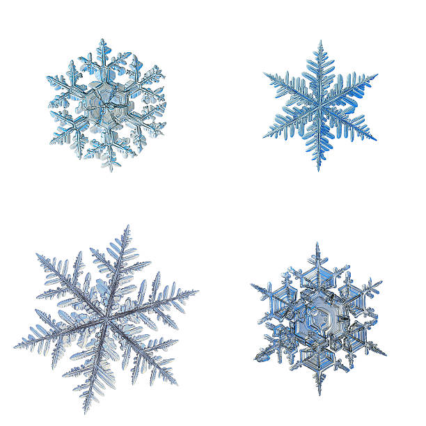 istock Snowflakes isolated on white background 637158454
