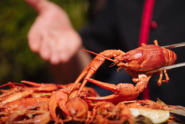 istock Close up of mans hands preparing crayfishes 637164514
