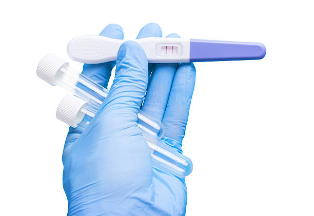 istock Artificial insemination. doctor's hand in glove holding positive 637164712