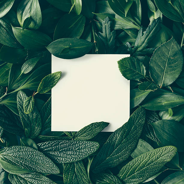 istock Creative layout made of green leaves with paper card note. 637166042