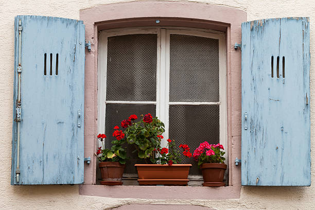 istock window with shutters and flower pots 637166334