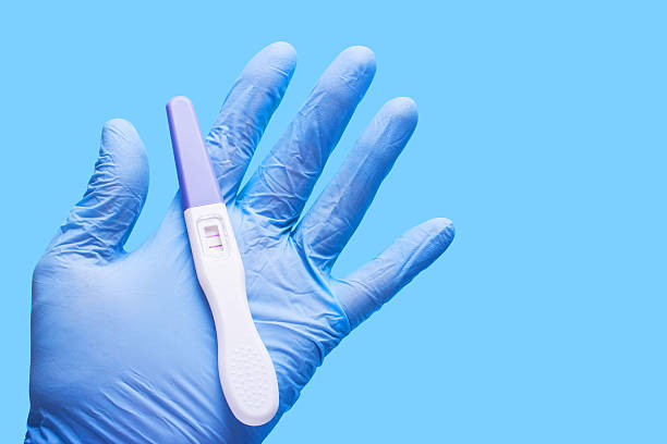 istock Artificial insemination. doctor's hand in glove holding positive 637166354