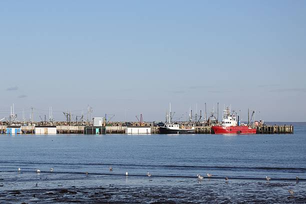 istock Boats at Meteghan Wharf, Nova Scotia, Canada 637170486
