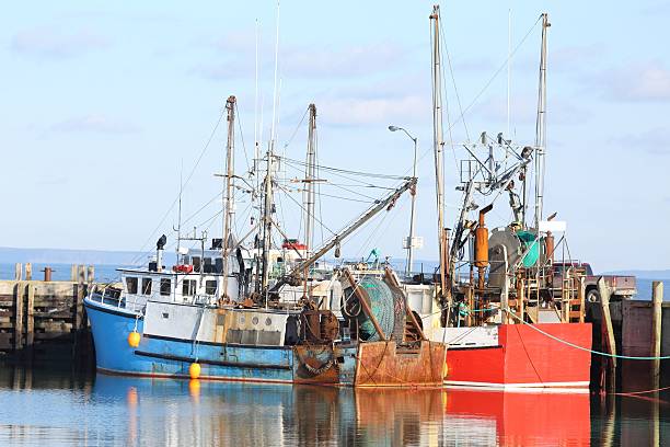istock Trawlers at Meteghan Wharf, Nova Scotia, Canada 637171146
