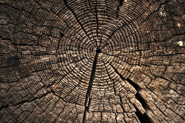 istock texture of dark wood. natural background. 637171340