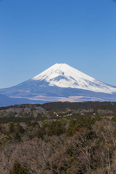 istock Mt. Fuji as seen from near Hakone Pass 637171692