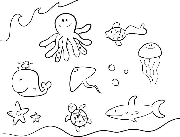 Sea Creatures Line Art - ilustração de arte vetorial