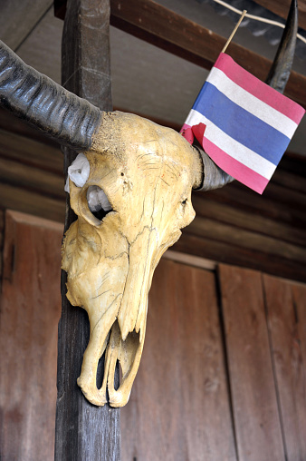 Water buffalo skull and Thai flag at a traditional house in Kamphaeng Phet in the Central Plains of Thailand.