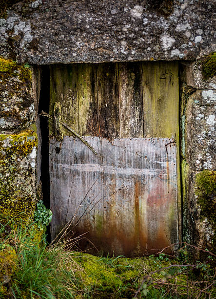 istock Basement door colorfull, abandoned 637177118