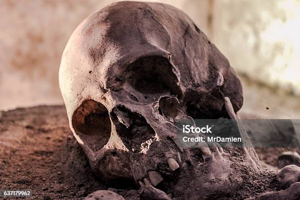Skull-foton och fler bilder på Död människa - Död människa, Människoskalle, Gammal