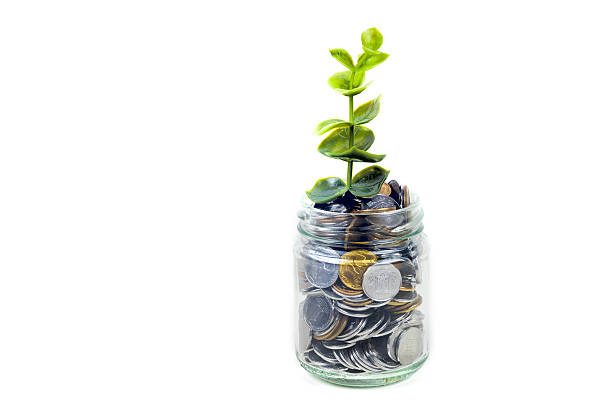 istock coins in jar with plant , savings concept 637180268
