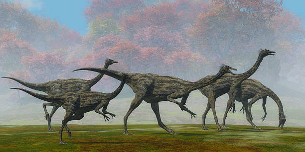 Gallimimus Dinosaur Fall Day A flock of Gallimimus dinosaur reptiles forage for food in the Cretaceous Period of Mongolia. cretaceous photos stock pictures, royalty-free photos & images