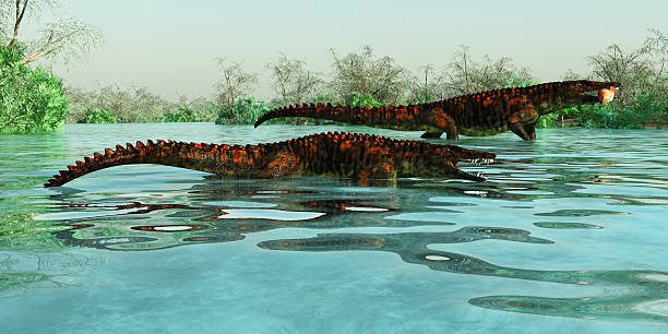 istock Uberabasuchus Marine Reptiles 637181630