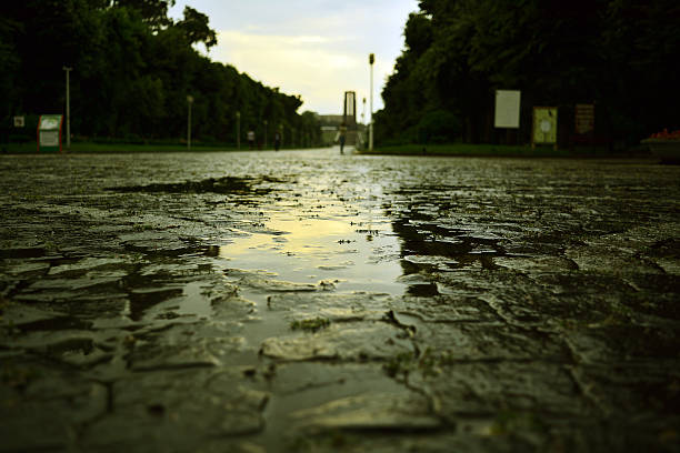 puddle of rain in park