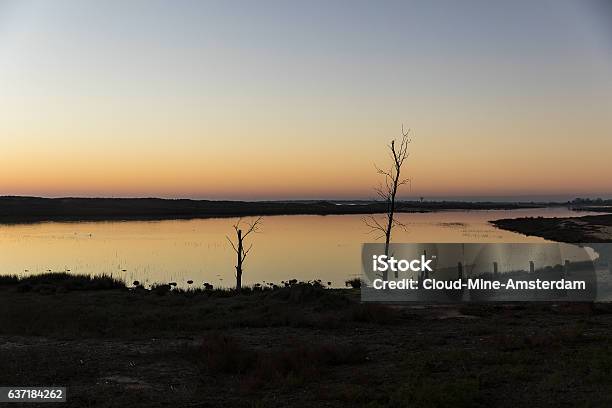Sunset Over Nature Reserve Casse De La Belle Henriette France Stock Photo - Download Image Now