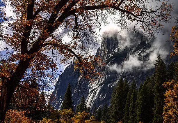 View of Yosemite through fall colored trees and leaves. 