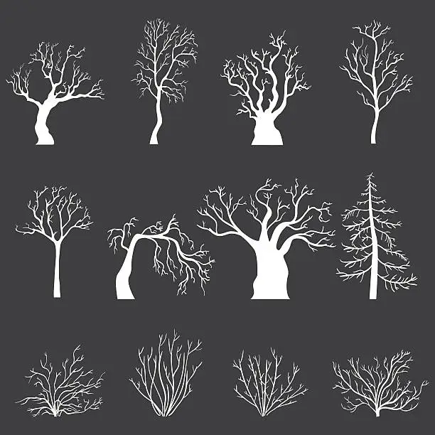 Vector illustration of Vector Set of White Silhouettes of Bare Trees and Bushes
