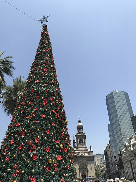 istock Christmas tree in Santiago Chile 637186700