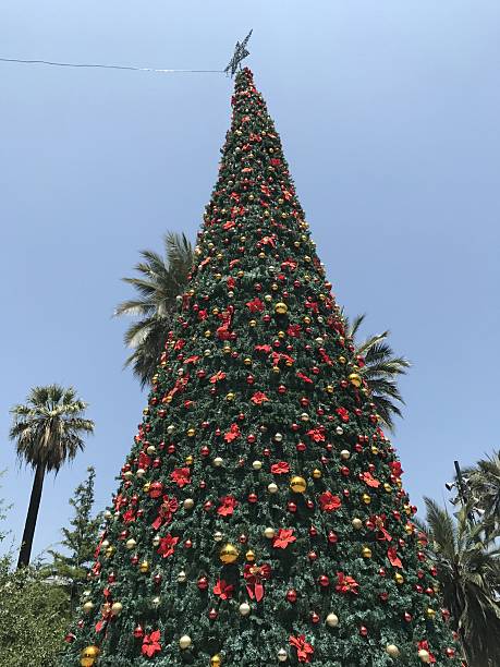 istock Christmas tree in Santiago Chile 637186718