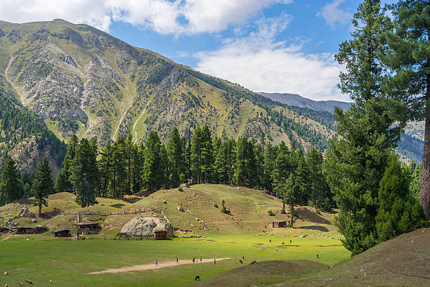 istock Small village at Fairy Meadow in summer, Gilgit, Pakistan 637189224