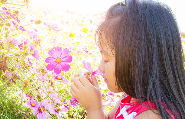 istock childl in cosmos flower fields 637189718