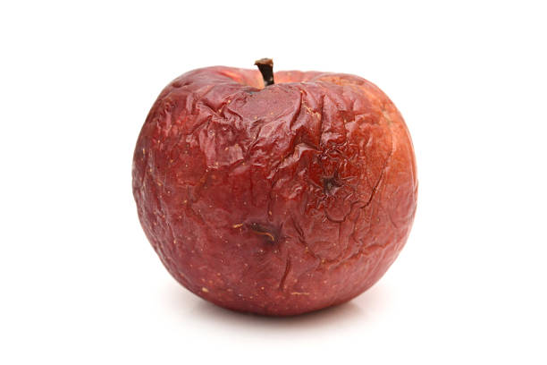 istock Old dry ribbed red apple, rotted, natural texture 637191974