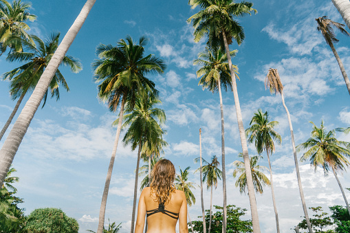 Young Caucasain woman on the background of palm trees in Thailand
