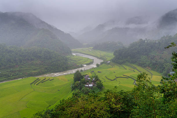 provincia montana ifugao , filippine - ifugao foto e immagini stock