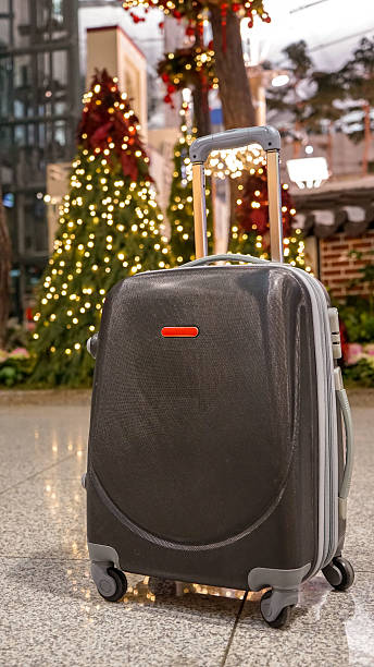 istock Carrier. Business travel. Trip. 637202804