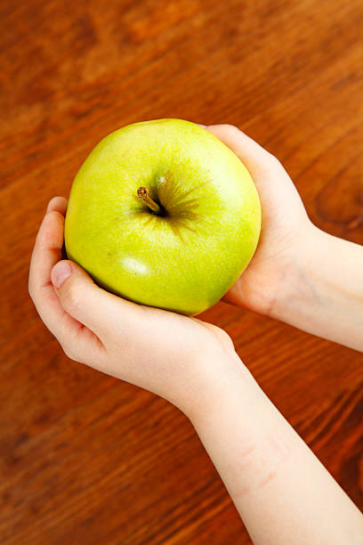 istock ecology and food concept -  holding green apple 637204494