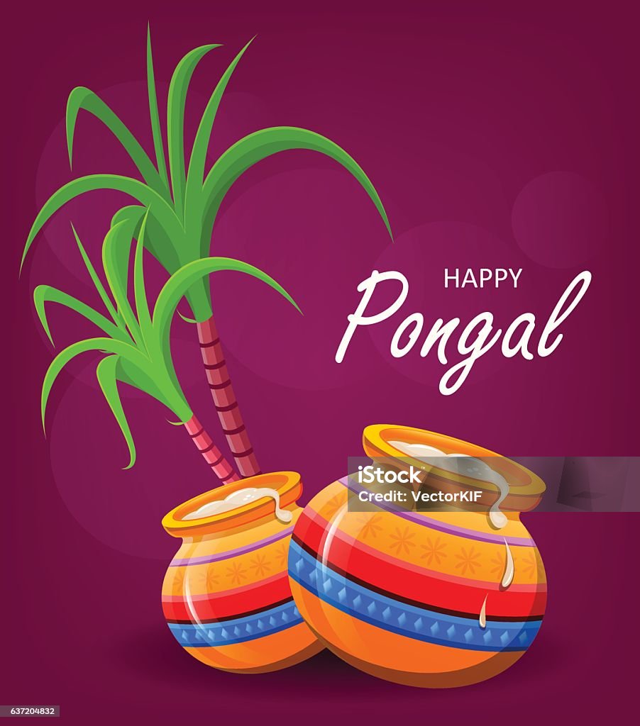 Happy Pongal Greeting Card On Violet Background Makar Sankranti ...