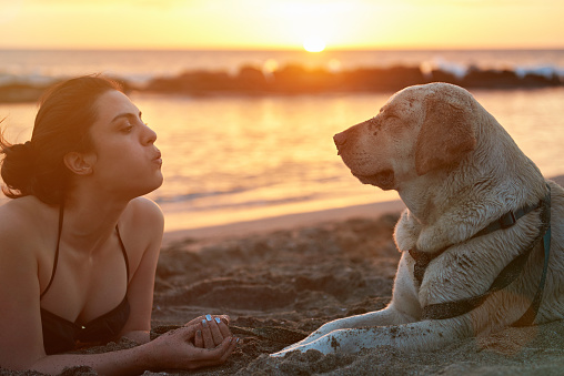 Girl blowing in dog nose laying on ocean beach with sunset